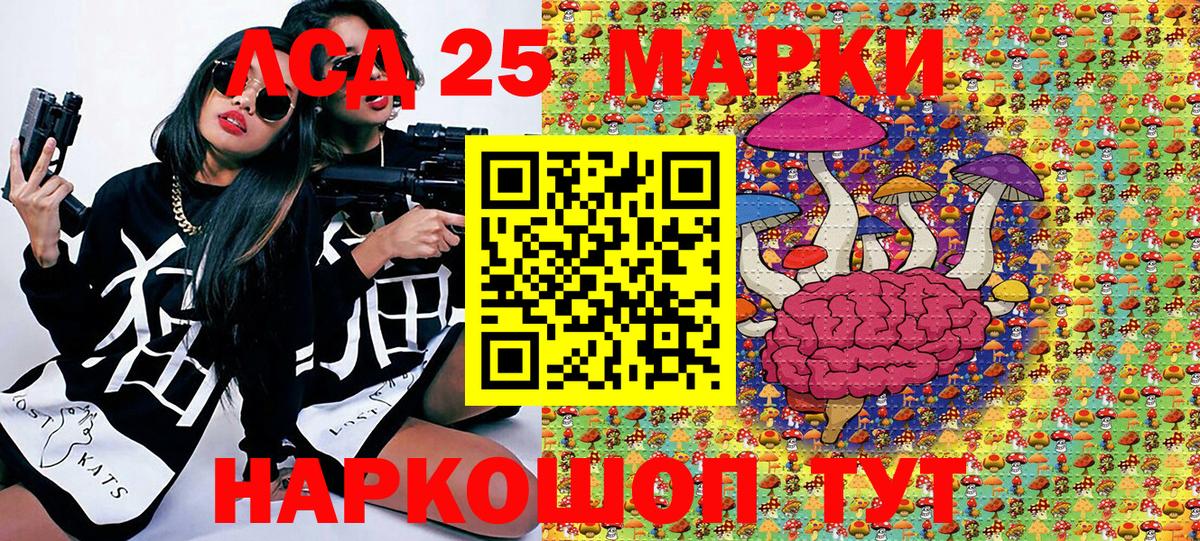 Наркотические марки  где продают наркотики  Камышлов  Марки 25I-NBOMe 1,5мг  Вход с VPN 