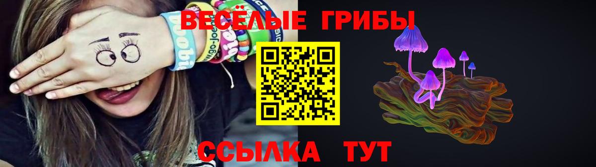 Камышлов  Псилоцибиновые грибы мицелий  Вход с VPN  Галлюциногенные грибы MAGIC MUSHROOMS 